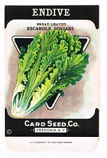 VINTAGE SEED PACKET 1920 GENERAL STORE FREDONIA NEW YORK ENDIVE ESCAROLE SCHIANI picture
