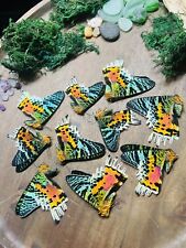 WHOLESALE Lot of 10 Urania ripheus REAL Madagascar Sunset Moth BULK Butterfly picture