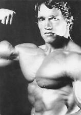 Arnold Schwarzenegger Young Muscle Builder Actor Hollywood Entertainer Postcard picture