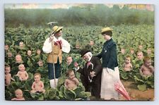 Postcard Baby Cabbage Fantasy Theme Postcard FIeld of Babies picture