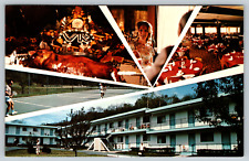 c1960s Villa Roma Country Club Callicoone New York Vintage Postcard picture