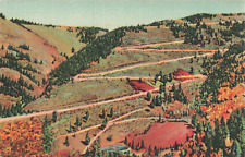 Red River NM New Mexico, Red River Pass, Winding Road, Vintage Postcard picture