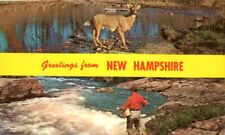 Postcard, Greetings From New Hampshire, Fishing, Hunting picture
