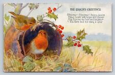 c1910  Raphael Tuck Birds Holly Nest Seasons Greetings Christmas P805 picture