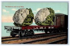 c1910's Exaggerated Cole Flowers Railroad LS & MS 26 323 Antique Postcard picture