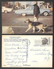 1968 Postcard - Seeing Eye Dog - Rochester, Michigan - Inverted Year Date picture
