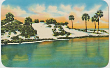 1955 Hand Colored Sand Dunes on the Gulf Coast Scenic Highway Post Card GUC #P1 picture
