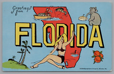 Postcard Large Letter Greetings From Florida Map Posted c1949 Linen picture