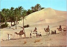 postcard Tunisia - Camel Caravan in the Sahara  picture