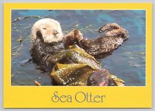 Salt Water Sea Otters, Vintage Postcard picture