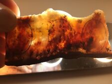 OCL -  OREGON - CAREY AGATE RED PLUME SLAB  - .14 lbs. OR 58 GRAMS picture