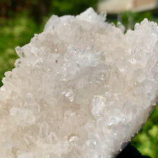 306G Natural Clear White Chrysanthemum Crystal Himalayan Quartz Cluster/Mineral picture