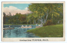 Turner Michigan MI Postcard Greetings picture