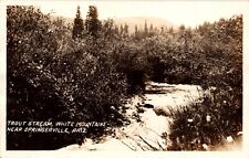 RPPC Springerville Ariz. White Mountains Trout Stream Nature Scenic Postcard 6C picture