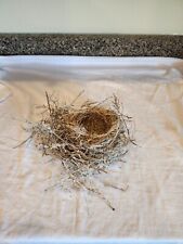 Real Bird Nest Found in Montana picture