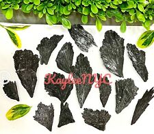 Wholesale Lot 1 Lb Natural Black Kyanite Raw Crystal Healing Energy picture