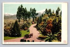 c1902 UDB Postcard Redlands CA California Scenic Smiley's Heights Horse Carriage picture