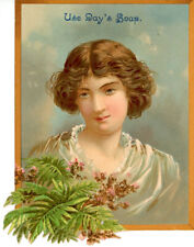 1890s Day's Soap Die Cut Victorian Color Trade Card. Young Victorian Woman picture