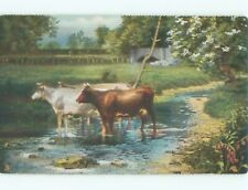 Divided-Back ANIMAL SCENE Great Postcard : make an offer AA9518 picture