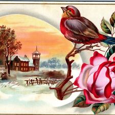 c1880s Lovely Colorful Bird Church Litho Stock 6