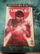 TMNT: Untold Destiny of the Foot Clan #1 Cover A (2024, IDW) picture