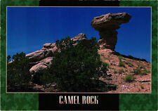 Camel Rock New Mexico Postcard Unposted Terrell picture