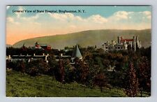 Binghamton NY-New York, State Hospital, Insane Lunatic Asylum, Vintage Postcard picture