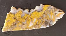 Yellow Moss Agate Lapidary Slab picture