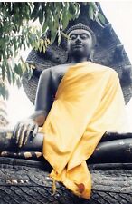 Vtg 1990s Color Photo Huge Black Buddha Buddhist Buddhism #39 picture