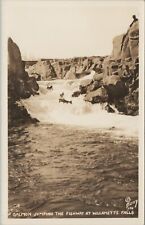 RPPC Salmon Jumping Willamette Falls OR Oregon c1930-1940s Eooy photo G101 picture