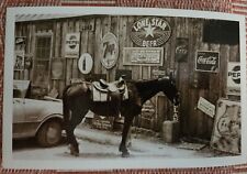 Luckenbach, TX Texas  GENERAL STORE & POST OFFICE  Gillespie County  Postcard picture