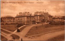1919 New York State Agriculture College Cornell University Ithaca NY Postcard picture