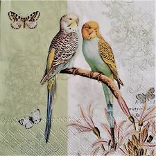2 individual Paper Decoupage NAPKINS - BUDGIES PARAKEETS TROPICAL BIRDS picture
