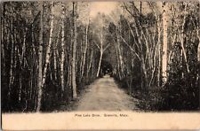 Pine Lake Drive, Granville MA Undivided Back Vintage Postcard U16 picture