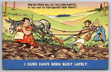 Vintage Postcard Funny Humor Cartoon Hillbilly Fat Woman Plowing Field Linen picture