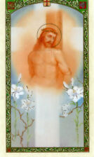Passion of Christ N - Laminated Holy Cards 25 CARDS picture