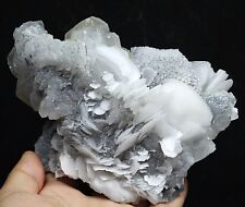 1.67lb White Schistose Calcite Cluster Crystal Based on Cube Fluorite Matrix picture