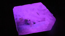 4 color fluorescent mineral rock 3 wavelength Phosphorescent Calcite O69 picture