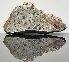 BECHAR 003 (11.544g) DALMATIAN Lunar Meteorite, Polished Slice, IMCA Sellers picture