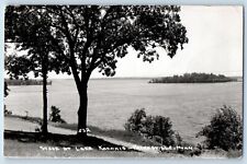 Paynesville Minnesota MN Postcard RPPC Photo Scene At Lake Koronis 1954 Vintage picture