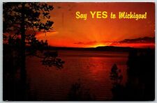Say Yes to Michigan - Postcard picture