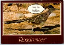 Postcard - Howdy from New Mexico - Roadrunner picture