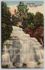 Hector Falls Watkins Glen Seneca Lake Finger Waterfalls Forest Cancel Postcard picture