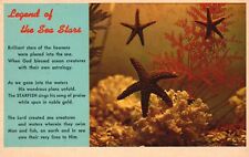 Vintage Postcard Legend Of The Sea Stars Water Creature Starfish Fishes Ocean picture