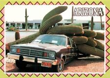 Postcard 10,000 lb Saguaro Cacti Crushed Car in Arizona picture