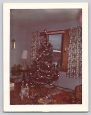 Vintage Polaroid Land Photo 1973 Dog On Christmas Tree Presents Gifts picture
