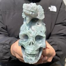 1.5kg Natural Aquatic agate Quartz hand Carved lizard skull crystal Reiki picture