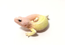 Kaiyodo Capsule Q Japan Exclusive Blizzard Leopard Gecko Lizard Figure picture