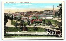 BESSEMER, AL Alabama ~ RED ORE MINES T.C.I. & R.R. CO. 1930 Postcard picture