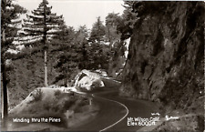  RPPC Mt. Wilson Winding Through Pines California DB Vintage Postcard   picture